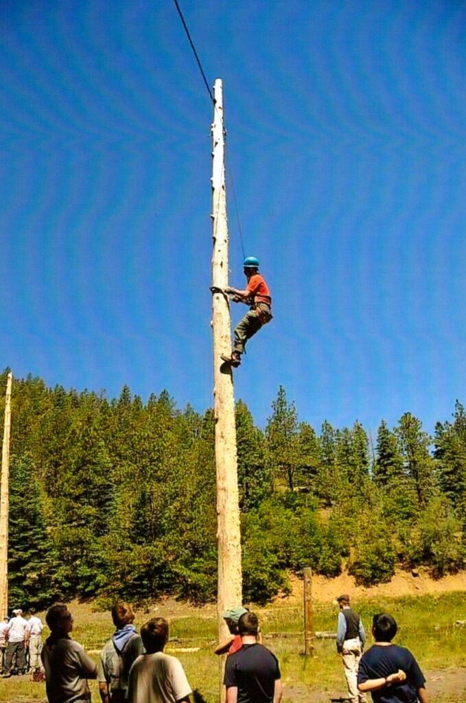 Taylor climbing a massive bare tree